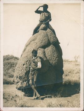 Photograph  of  Wallaby and Des