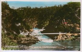 Suspension Bridge, The Gorge, Launceston