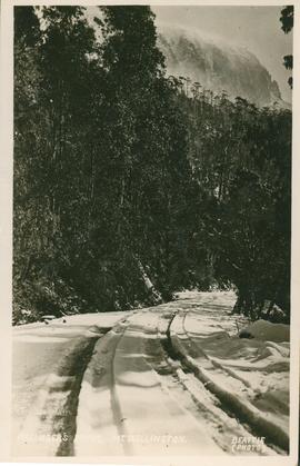Postcard of Pillinger's Drive, Mt. Wellington