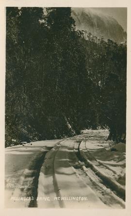 Postcard of Pillinger's Drive, Mt. Wellington