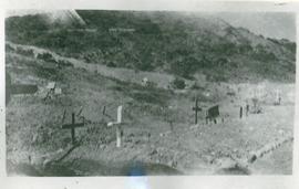 Graves at Gallipoli