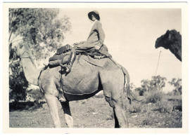 Photograph of Olive Muriel Pink sitting on a camel, Larry