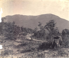 Huon Road with post and rail fence looking to Mt Wellington