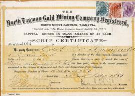 North Tasman Gold Mining Company