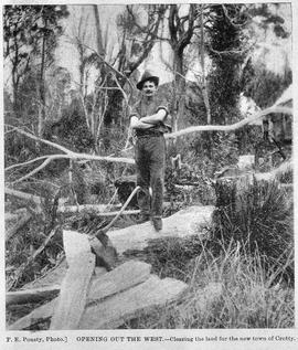 View of male axeman standing on fallen timber in the bush, Crotty, Tasmania.