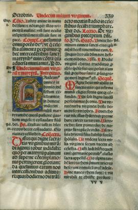 Verso - unidentified fragment