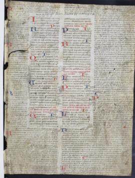 Recto-Codex lustinianus leaf